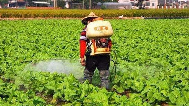 对比评测：线上网课与线下培训的优劣势