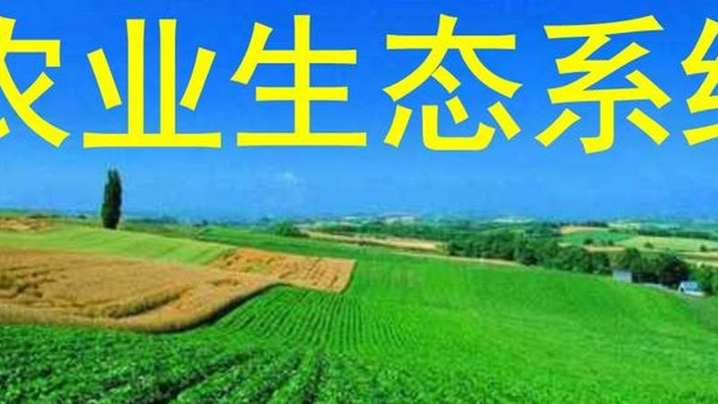 生态农业种植认证：迈向绿色生产的必经之路