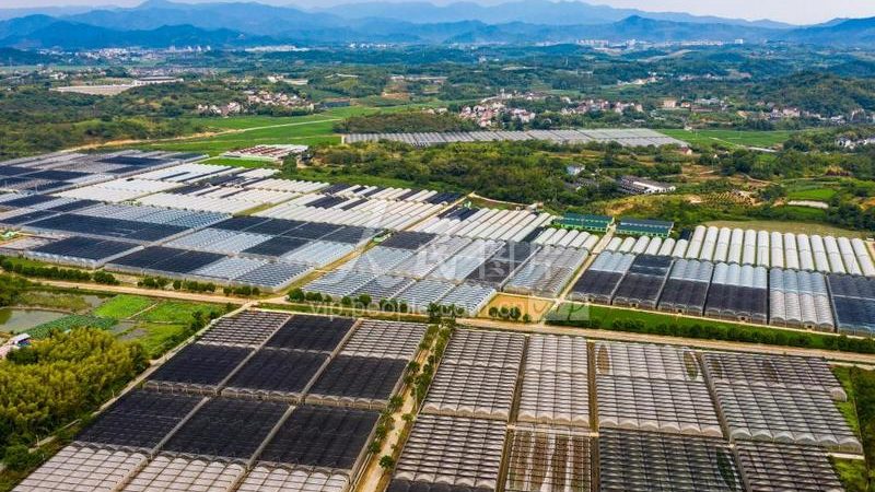 家庭农场水肥一体化：精准灌溉施肥，提升亩产的秘密武器**
