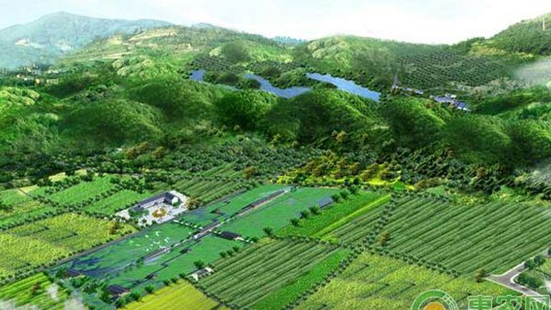 学校蔬菜配送方案：构建安全、高效的校园餐桌