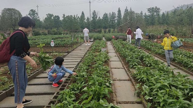 农资产品区域代理价格，如何合理评估与选择？**