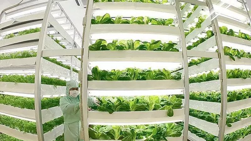 济南周边水果种植基地直采，如何把握价格优势？**