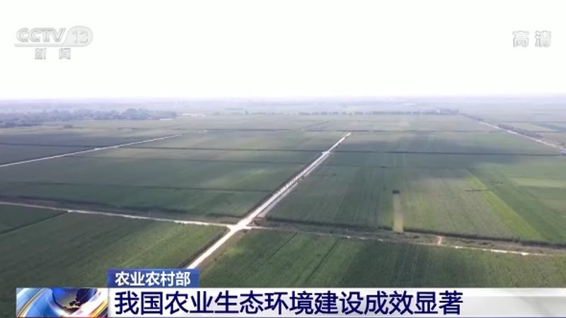 果蔬配送合同模板：关键要素与撰写要点