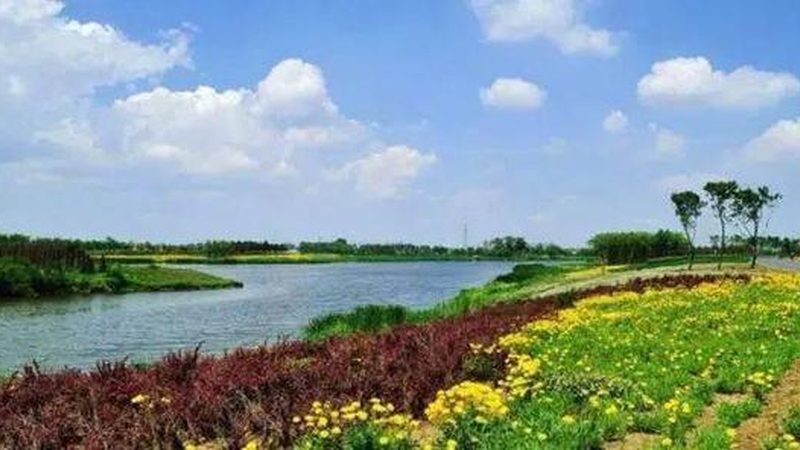 生态农业园区规划：标准规范与关键要素**