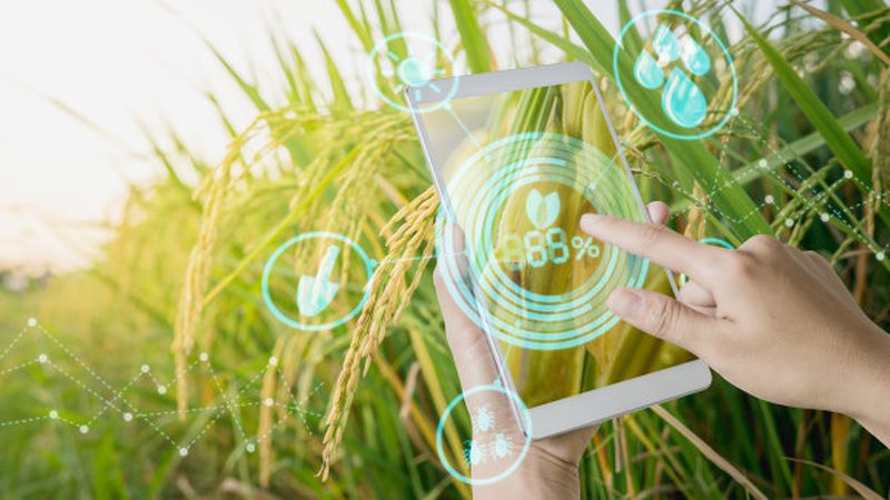 水果种植合作社投资回报周期解析