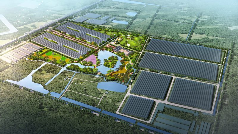 农民专业合作社注销流程全解析