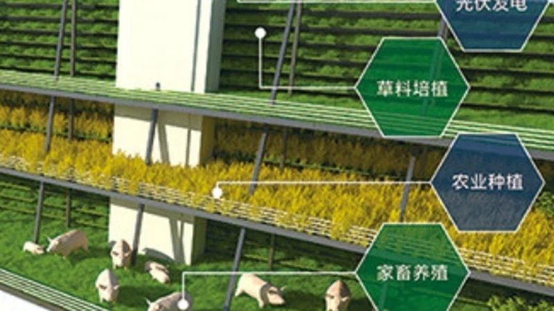 种植合作社内部管理制度分类解析
