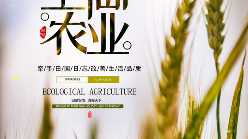 果蔬配送中心配送半径标准：如何科学规划运输范围**